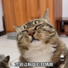不足。字