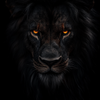 rtblack