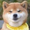 王邦主