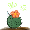 咖洨