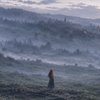 FormistVale