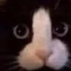 Zie