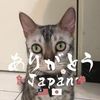 顏聖元