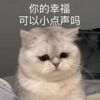 蒔花/半打故事集