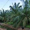 Abg dahaga