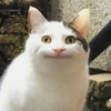星澂