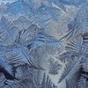 霜雪