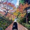 小海
