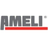 Ameli Consulting