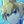 Micromeichi