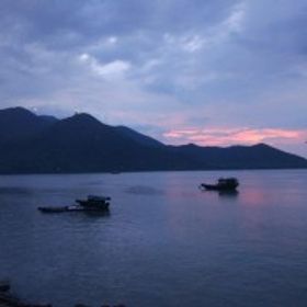 江南鶴