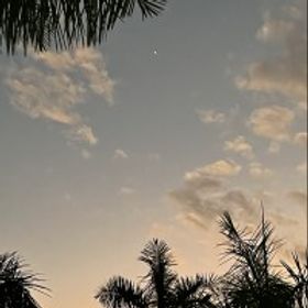 C.C