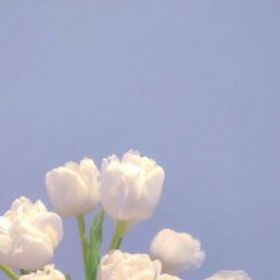 淅雲