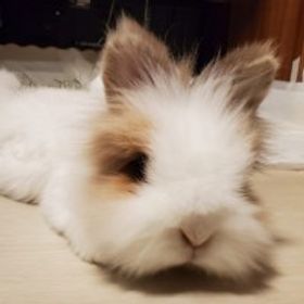 木水