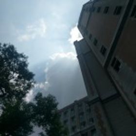 緋玥