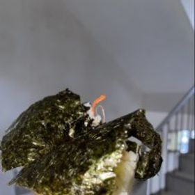 老陽話很多