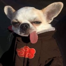 賴燄弘