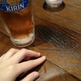 冬羊