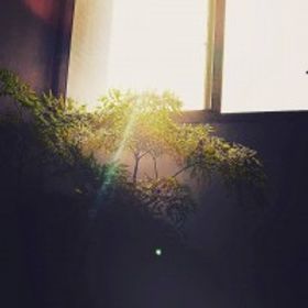 卅日