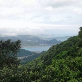 汋