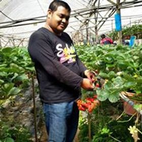 Affan MD Yunos