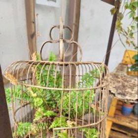 幻沫