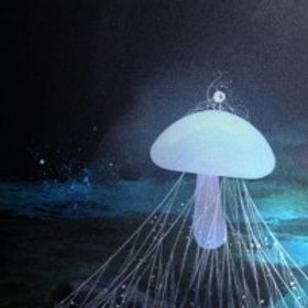 曰天天