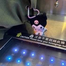 口陽哥