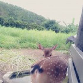 渺小