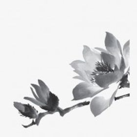 墨花