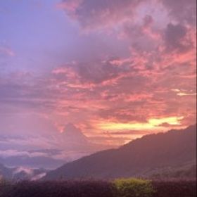 栗鼠丸