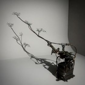 花舞不落秋