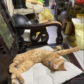徹痕