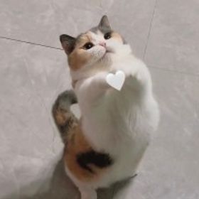 汐玥