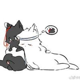 寒宮飄零