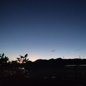 吉度厭世