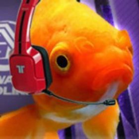 Alphafish42