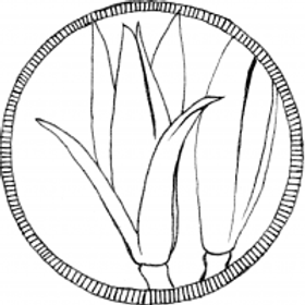 琢