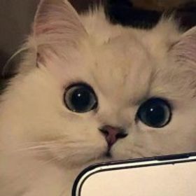 小夕