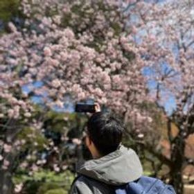 宋鎮霖