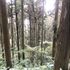 醍醐灌頂