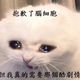 雨林老師