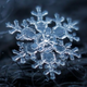 六初雪