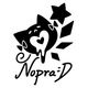 不專定畫師Nopra