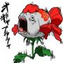 挑戰者 羅衣