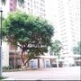 挑戰者 愚者王