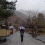 挑戰者 梁子毓