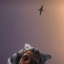 Beta Reader Addison04