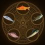 挑戰者 雙魚流